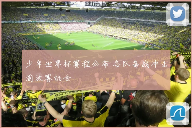 少年世界杯赛程公布 各队备战冲击淘汰赛机会